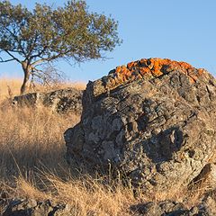 фото ""Красноволосый" Ртутный камень. (cinnabar - киноварь)"