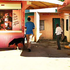 фото "Hotel Mambo"