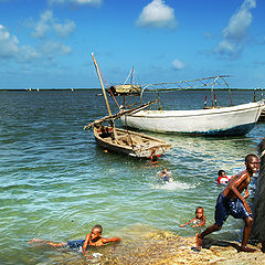 photo "swim in the sea"