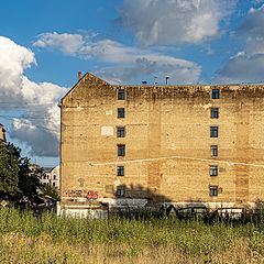 фото "Вид сбоку"