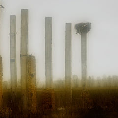 фото "Einstürzende Neubauten"