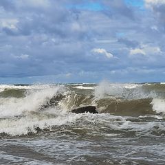 photo "The first autumn storm in the Gulf of Finland"