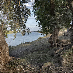 фото "Берег Великанов"