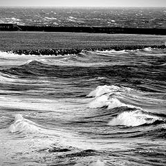 photo "hard waves"