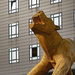 photo "The Wooden Lion"