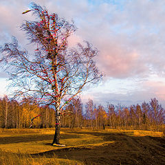 фото "Ритульная"