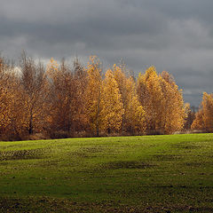 фото "Поля и перелески."