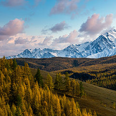 фото ""Розовый закат""