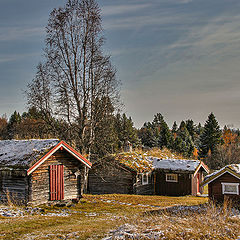 photo "autumn"