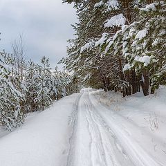 фото "Зимняя дорога (2)"
