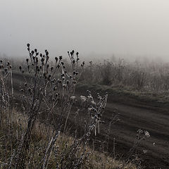 фото "ТУманное утро"