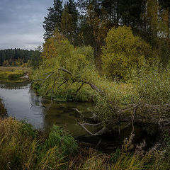 фото "у речки"