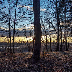 photo "March. On the Sunset."