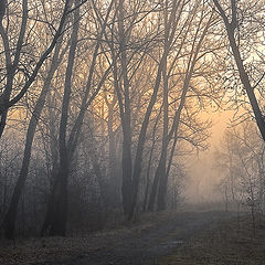 фото "Утренняя дымка"