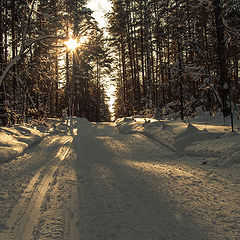 фото ""Лыжня зовёт""