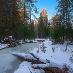 фото "Зимний пейзаж"