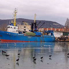 фото "грустно,море замерзло."