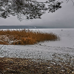 фото "ловцы тумана"