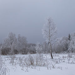 фото "Седая зима"