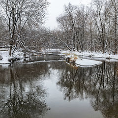 фото "Зима"