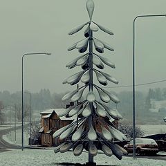photo "Christmas tree in Viljandi on Christmas morning"