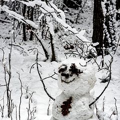 photo "Snowman"