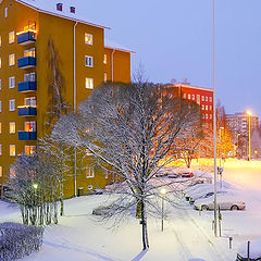 photo "Winter in Town"