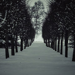 фото "в зимнем парке"