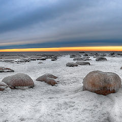 фото "Лежбище"