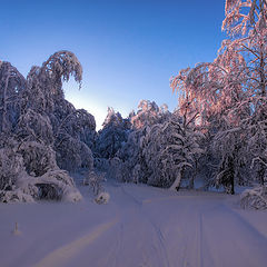 фото "На распутье"