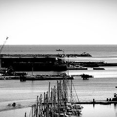 фото "in the port"