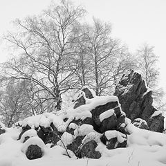 фото "Гуляя по хребту."