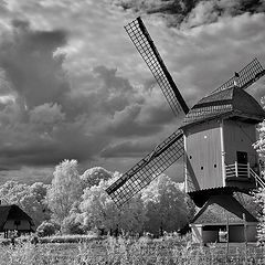 photo "IR photo Bokrijk"