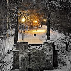 photo "Eliseevsky Park. Toila Oru. Toila, Estonia"