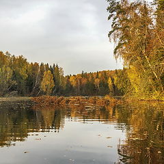 фото "Вспоминая осень"