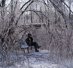 фото "Скамейка"