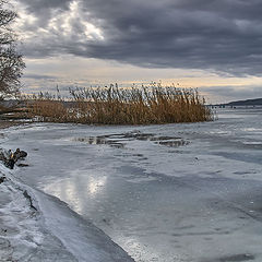 фото "январь +8"