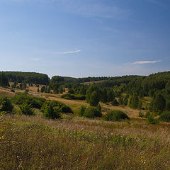 фото "про август"