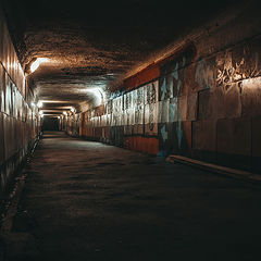 фото "tunnel"