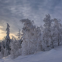 фото "Зимняя тишина"