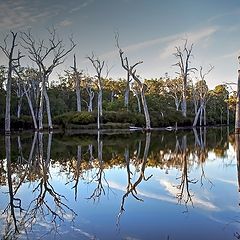 фото "Margaret river..."