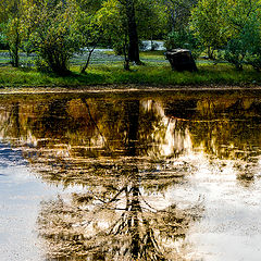 фото ""Летняя осень""