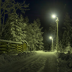 фото "Перед Рождеством"