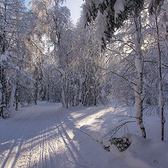фото "Зимний день"