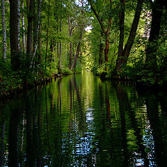 фото "Spreewald"