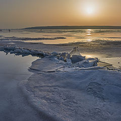 фото "февральская весна (+8)"