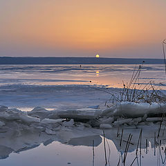 фото "в ледяном плену"