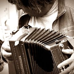 фото "music in the street: musician"