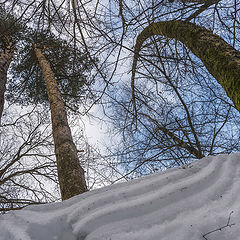 фото "Вверх!"