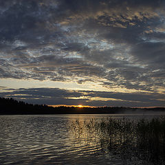 фото "Отошли воды"